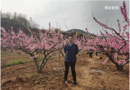 步履不停，共赴春光